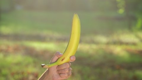 A man's hand brings a banana into the frame against a background of green grass and aligns it in a vertical position.
