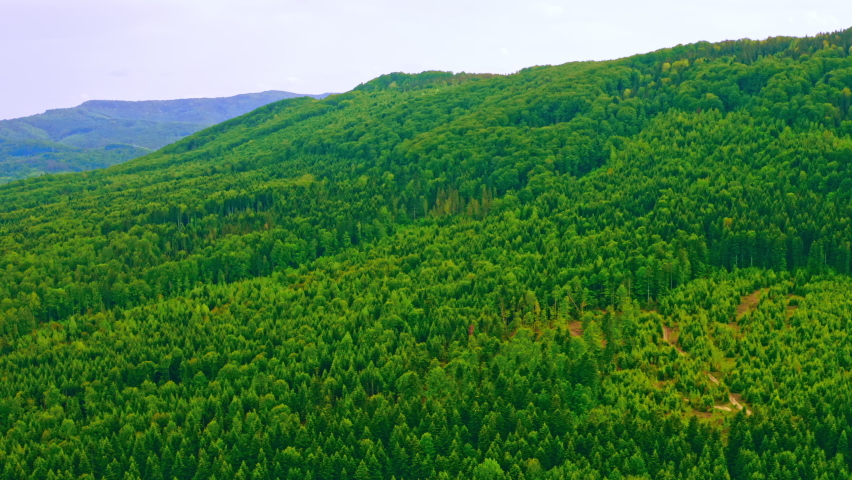 aerial view forest on hillside spring season landscape mountains background