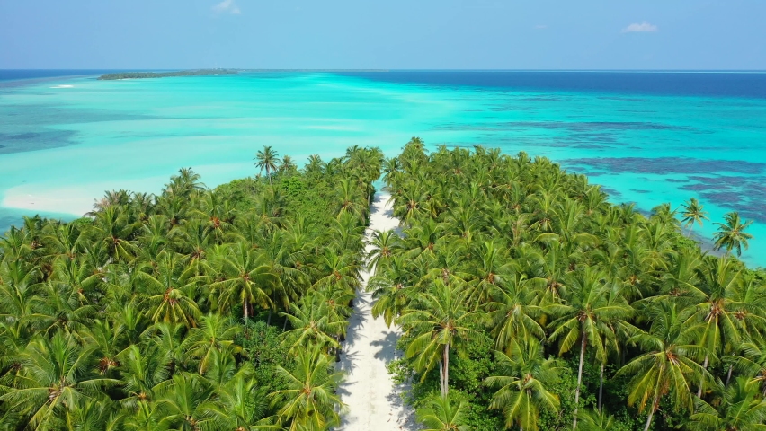 Paradise garden with palm trees forest of tropical island surrounded by peaceful scenery with tranquil turquoise lagoon on a shiny day in Antigua Royalty-Free Stock Footage #1060320725