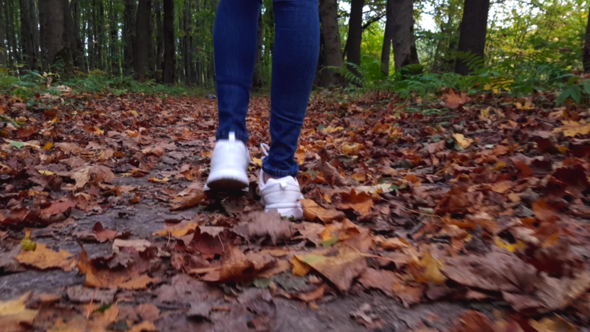 A slender woman walks along a road in the forest in autumn.