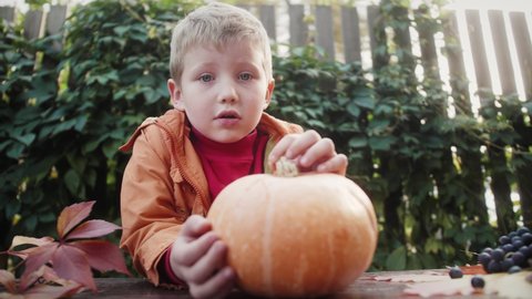 Portrait of little boy with pumpkin for Halloween. Child waiting Halloween.