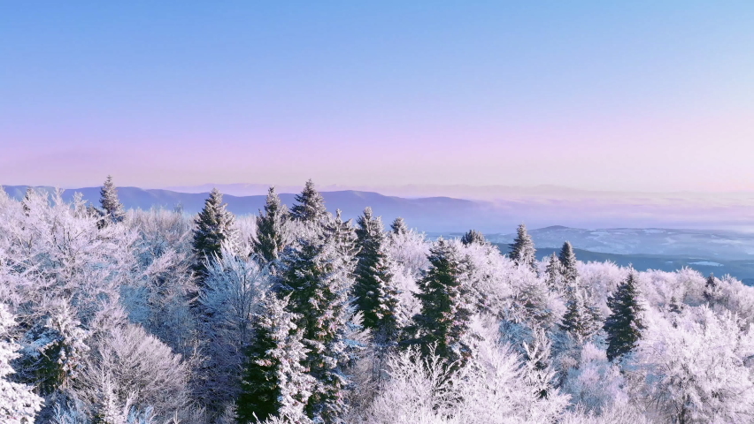 Winter Forest Nature Snow Covered Winter Trees Alpine Landscape Early Morning Sunrise Holiday Travel And Tourism Frosty Tree Tops Vibrant Colors Aerial 4k | Shutterstock HD Video #1060362008