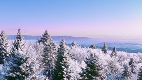 Winter Forest Nature Snow Covered Winter Trees Alpine Landscape Early Morning Sunrise Holiday Travel And Tourism Frosty Tree Tops Vibrant Colors Aerial 4k - Powered by Shutterstock - Get 15% off with code: PIKWIZARD15