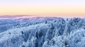Mountain Frosty Winter Nature Trees Alpine Landscape Early Morning Breathtaking Natural Landscape Sunrise Holiday Travel And Tourism Frosty Tree Tops Vibrant Colors Aerial 4k - Powered by Shutterstock - Get 15% off with code: PIKWIZARD15