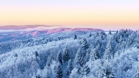 Mountain Frosty Winter Nature Trees Alpine Landscape Early Morning Breathtaking Natural Landscape Sunrise Holiday Travel And Tourism Frosty Tree Tops Vibrant Colors Aerial 4k