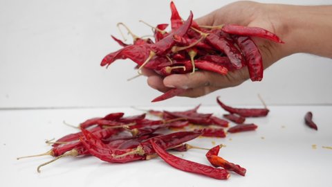 fresh red chilies drop hand in white background