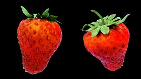Realistic Strawberry 3D video animation. Transparent background. Looped video. 4K resolution