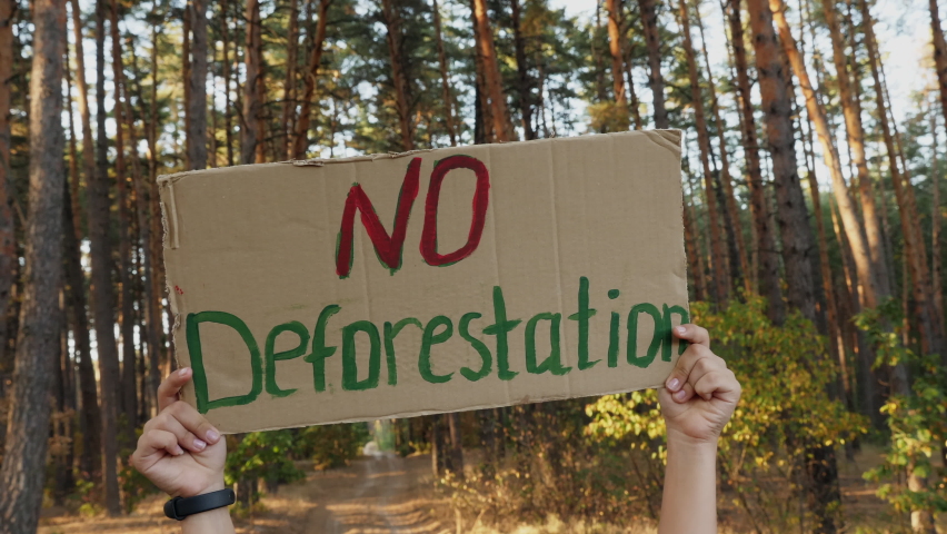 ecology concept - save forest poster. hands of eco activist holding ...