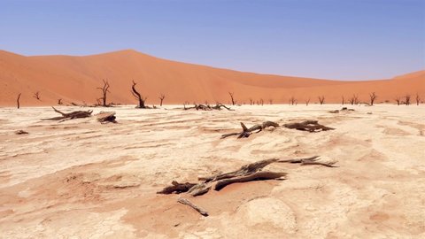 Landscape of the Namib Desert in Africa. The video shows the area sossusvlei with the famous and popular landmark Dead vlei in Namibia.
