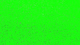 Raindrops on the window covering the entire surface and rolling down one by one, isolated with green chroma key.