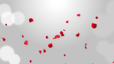 Anniversary Loop Background with falling Red rose petals Realistic 3D Green Screen loop Animation. Wedding, Romantic, Relaxing, spa or Wellness, Valentine Day, Love, Perfume, Romantic,
