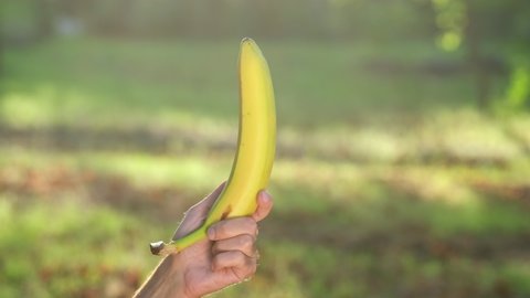 A male hand brings a yellow banana into the frame and removes it back against the background of green grass in the park.