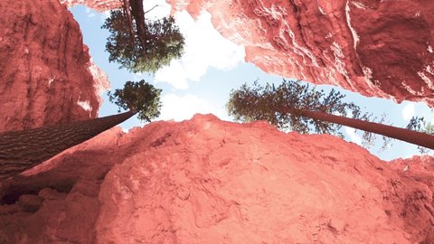 Upward view of Bryce Canyon Mountains and Trees