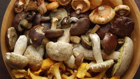Close up on raw and fresh forest various mushrooms in bowl. Organic vegetarian healthy food. Top view, flat lay.