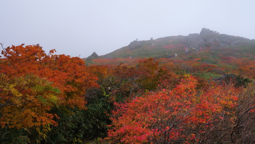 The foreground of red and orange autumn leaves and hikers in the background. Mountain fog in strong winds. Early morning hike on a cloudy day