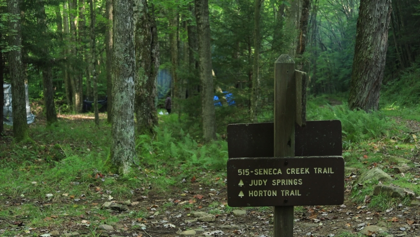 A Seneca Creek Trail Signpost, within the Spruce Knob-Seneca Rocks National Recreation Area in West Virginia. Summer.