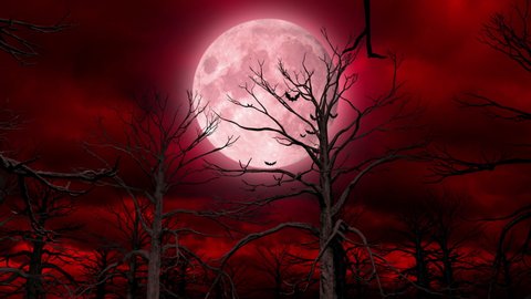 Halloween Red Darkness Background (Loop)