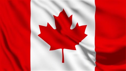 A beautiful view of Canada flag video. 3d flag waving video. Canada flag HD resolution. Canada flag Closeup Full HD video.	

