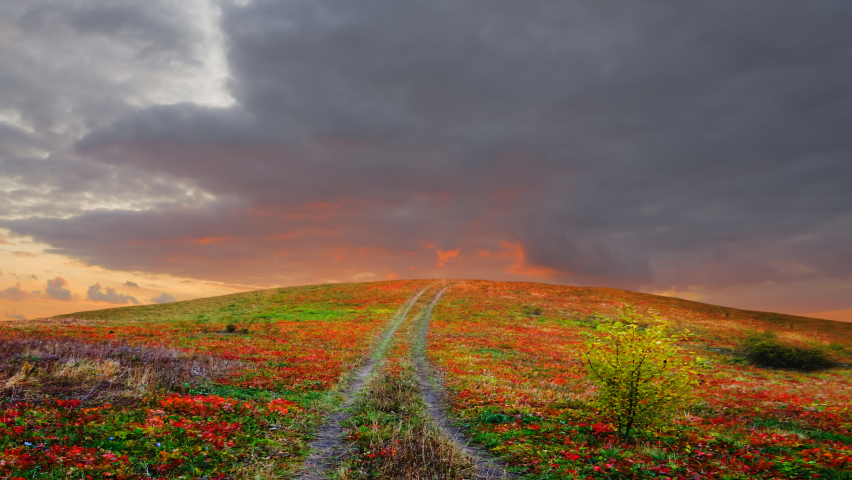 red dramatic sunset over the hill with grass and ground road, time lapse scene
