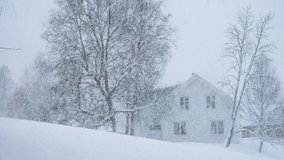 winter landscape with classic wooden house during hard snowfall at Norway countryside
 - Powered by Shutterstock - Get 15% off with code: PIKWIZARD15