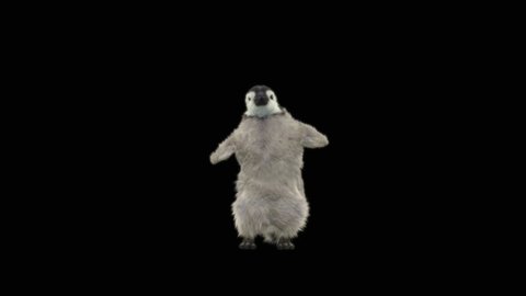penguin Dancing CG fur 3d rendering animal realistic CGI VFX Animation  Loop alpha dance composition 3d mapping, Included in the end of the clip with Luma matte.