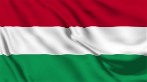 A beautiful view of Hungary flag video. 3d flag waving video. Hungary flag HD resolution. Hungary flag Closeup Full HD video.	
