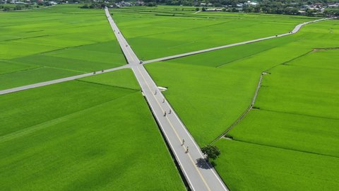 Aerial view of green rice fields and straight road - Mr. Brown Avenue (Bolang Dadao), famous scenic area of Taitung, Taiwan.