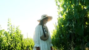 Young beautiful woman in white dress and hat walks in the vineyard at sunset. Slow motion video 4K