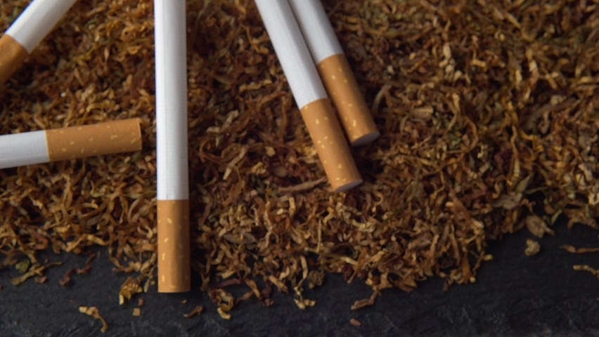 A pile of hand rolling Tobacco with cigarettes. Selective focus.Tobacco extreme close up, macro 4k footage. Royalty-Free Stock Footage #1060478479