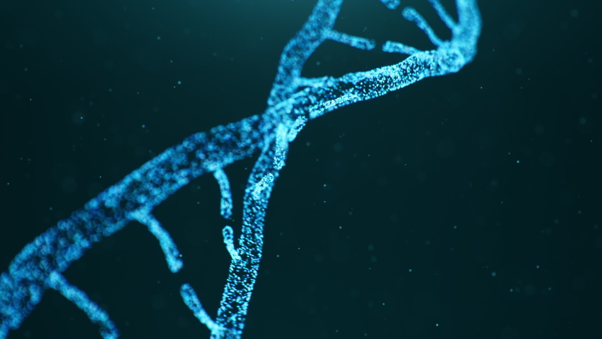 Abstract animated construction of a DNA molecule from particles. Concept animation of digital DNA, human genome. Medical research, genetic engineering, biology. Futuristic 4k animation of DNA molecule Royalty-Free Stock Footage #1060480426