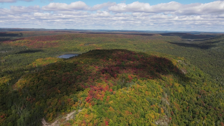 aerial view of beautiful autumn colors over a national forest