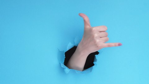 Call gesture. Shaka sign. Female hand showing greeting signal inside breakthrough hole isolated on blue torn paper wall background with copy space. Commercial banner for contact information.