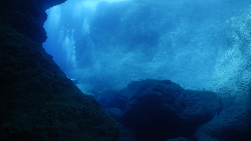 scuba divers enjoying topography fauna underwater Stock Footage Video ...