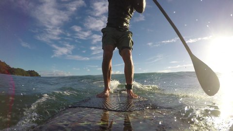 Standup paddle board surfing early morning at Waihi beach, New Zealand