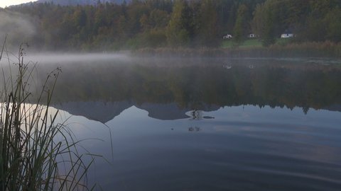 view of the quite morning foggy lake at the austrian mountains
