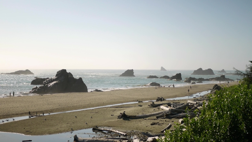 Over looking Oregons Beautiful Harris Beach, covered in Driftwood and Oceanic Rocks sticking out of the wavy waters.