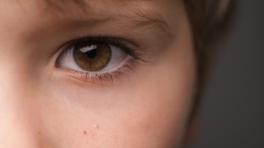 Eye of Child Looking the Camera. Half Face. Close-Up. Boy's Blinking her Brown Eyes. Children's Emotions. Children's Look. Attractive Enthusiastic Eye's Kid. Highly Detailed Portrait of Caucasian Boy | Shutterstock HD Video #1060537780