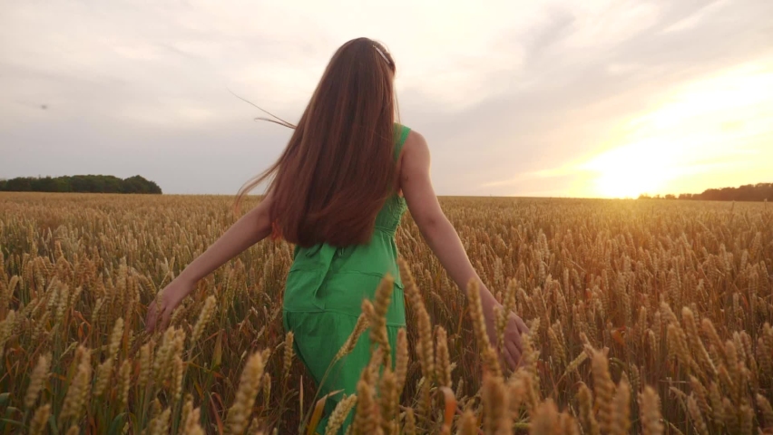 Free girl run across the wheat field in the park. agriculture kid children dream concept. girl farmer hands to sides runs across the wheat fun field . happy free girl run in park agricultural land | Shutterstock HD Video #1060541194