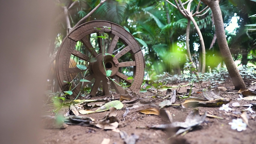Old wooden cart wheel surrounded by trees