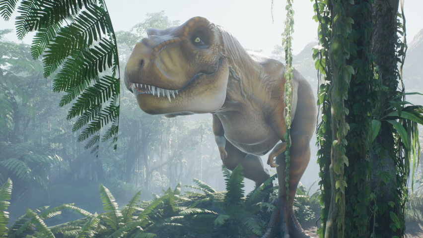 T Rex Tyrannosaurus dinosaur in the morning foggy prehistoric jungle. View of the green prehistoric forest in the jungle on a sunny morning. Royalty-Free Stock Footage #1060549573