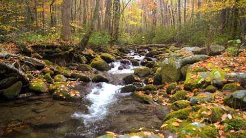 A gentle stream cascades around rocks, covered in moss, surrounded by trees adorned with autumn foliage in the Appalachian Mountains.