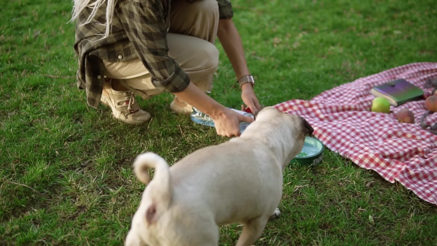 Young girl with pug dog in the summer green park, she is pouring water to a bowl for her pet