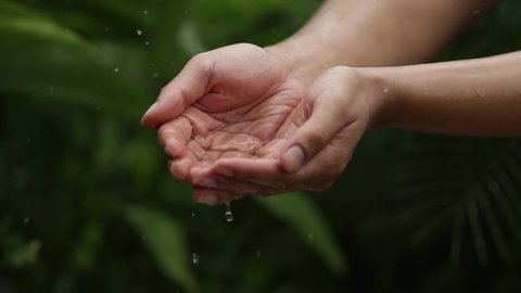 Rain water drop to the hands man with green nature on background, metaphor water scarcity, abundance of forest, environment recovery