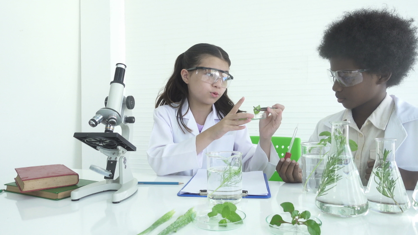 White girl and afro american boy with curly hair as a biologist studying plant and doing botany science research in glassware or flasks measuring beaker holding dripping for science and mIcroscope. Royalty-Free Stock Footage #1060601347