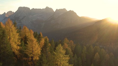 AERIAL, LENS FLARE: Majestic rocky mountaintops of the Dolomites tower over a larch forest at golden autumn sunset. Evening sunbeams illuminate the woods in the Italian Alps changing colors in fall.
