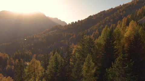 AERIAL, LENS FLARE: Flying over the colorful woods in the Italian Alps on a sunny fall evening. Golden autumn morning sun rays shine on a larch tree forest in the picturesque Dolomites. Leaf peeping
