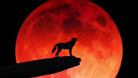 The silhouette of a wolf standing on a cliff edge howling at a blood-red moon.