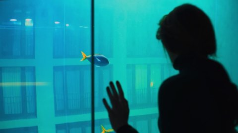 Close-up: a young girl stands near a huge aquarium and watches blue fish. A woman in the aquarium admires the underwater world. Floating fish behind the glass of a large aquarium. Slow motion.
