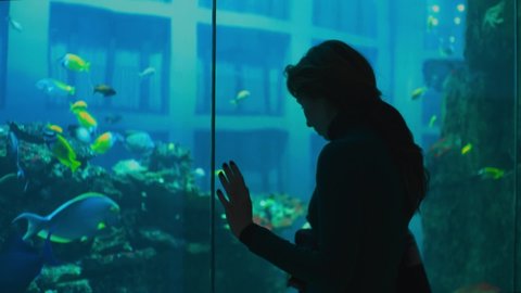 Close-up: girl stands near a huge aquarium and watches the fish. A woman in the aquarium admires the underwater world. Floating fish behind the glass of a large moving aquarium-Elevator. Slow motion.