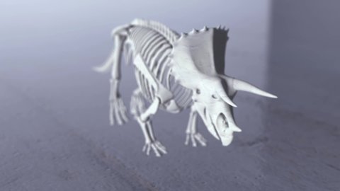 3D Render of Stegosaurus Skeleton